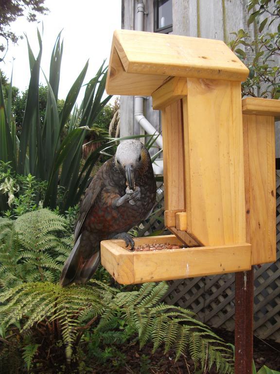 Kaka Retreat Motel, Stewart Island Half-moon Bay Esterno foto